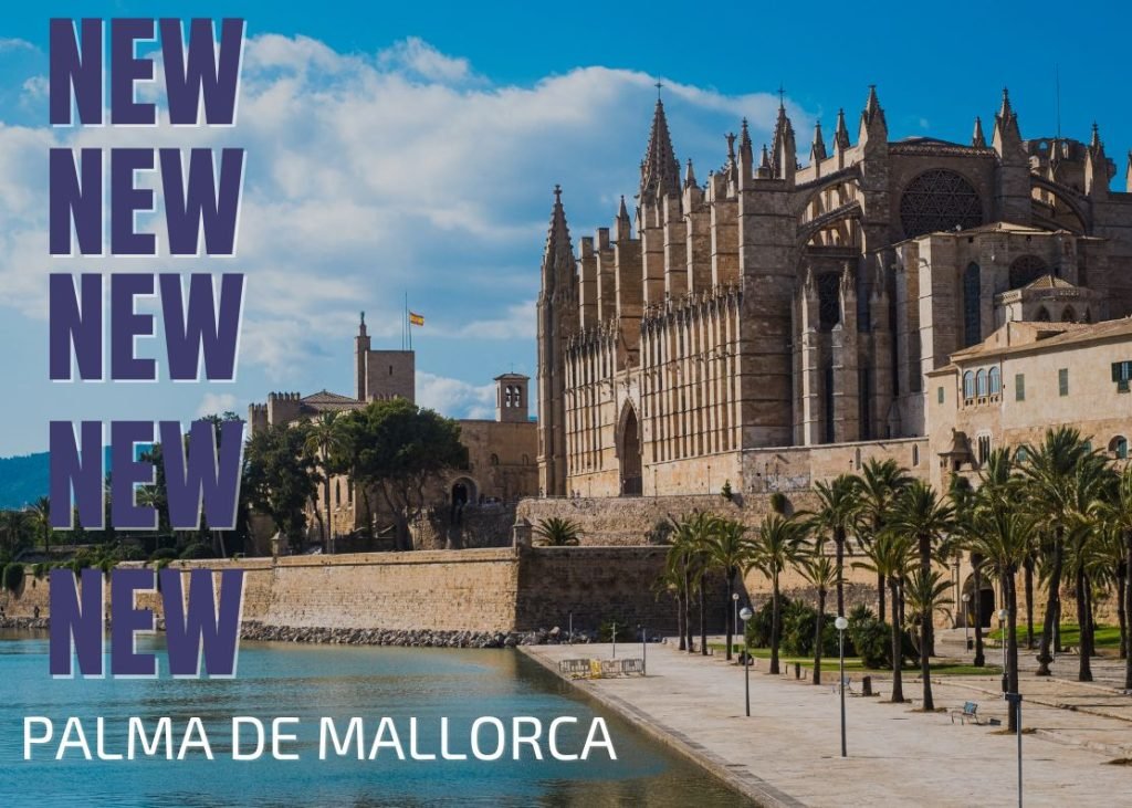 Lanzamiento Moovers en Palma de Mallorca